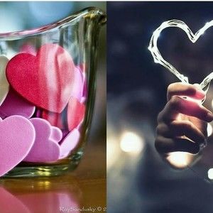 Meet your Posher, Anne